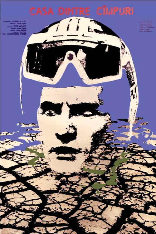 The House Between the Fields (1980) poster