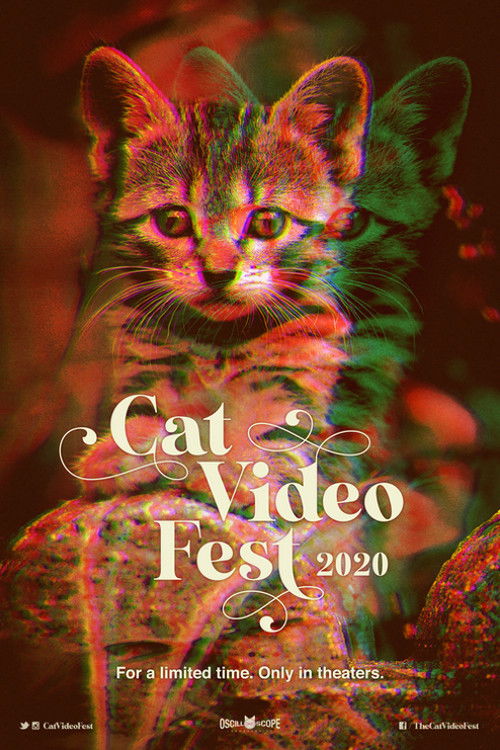 CatVideoFest 2020 (2020) poster