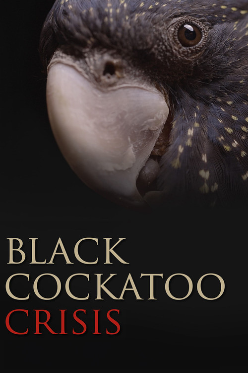 Black Cockatoo Crisis (2022) poster