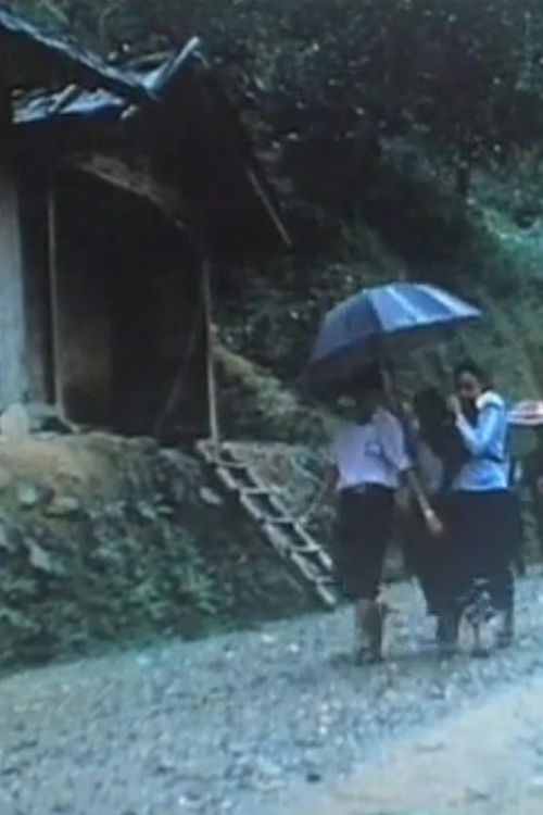 Va, Regarde - 1 (2008) poster