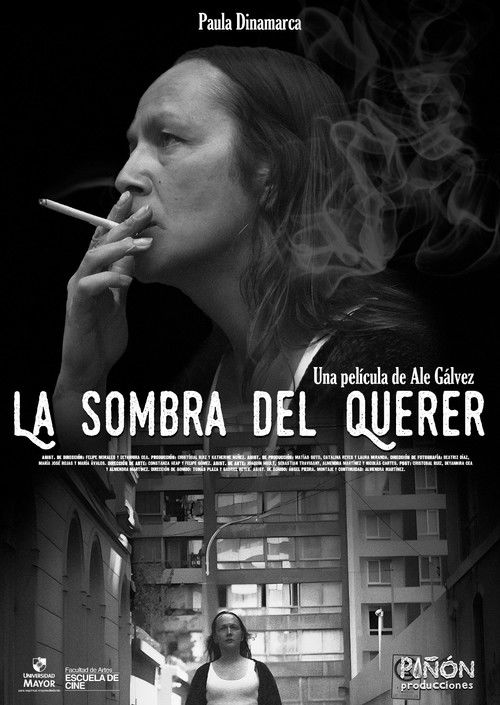 La sombra del querer (2024) poster