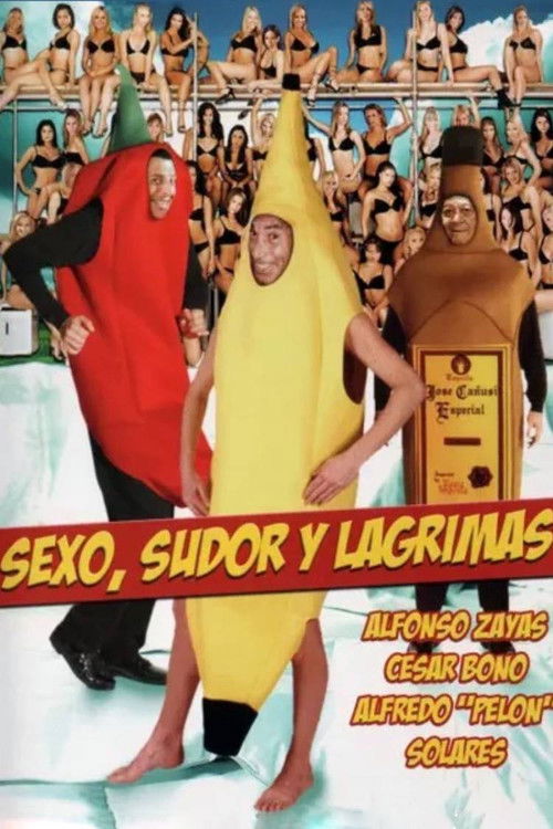 Sexo, sudor y lágrimas (1987) poster