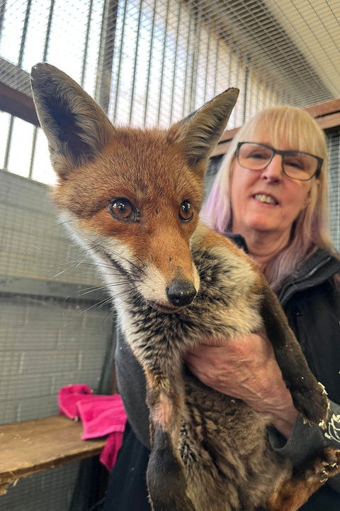 Secrets of the Southwest: Science Behind the Secrets (2026) poster