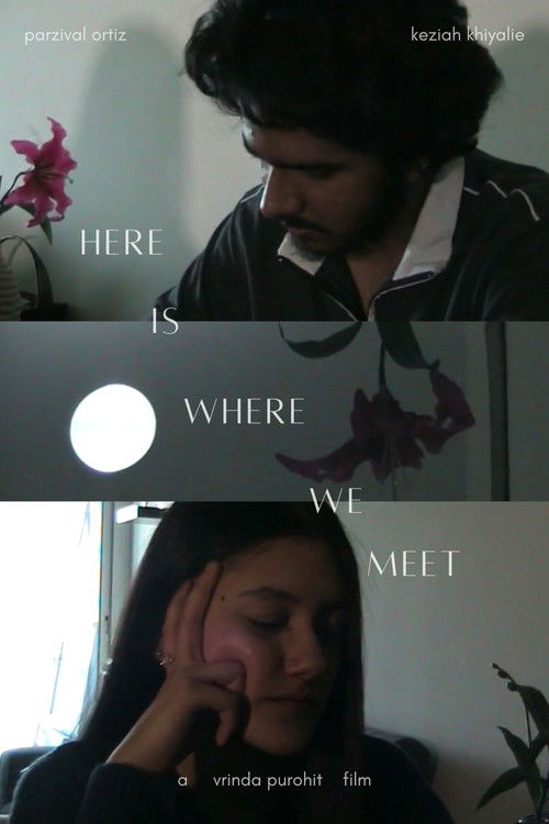 Here Is Where We Meet (2025) poster