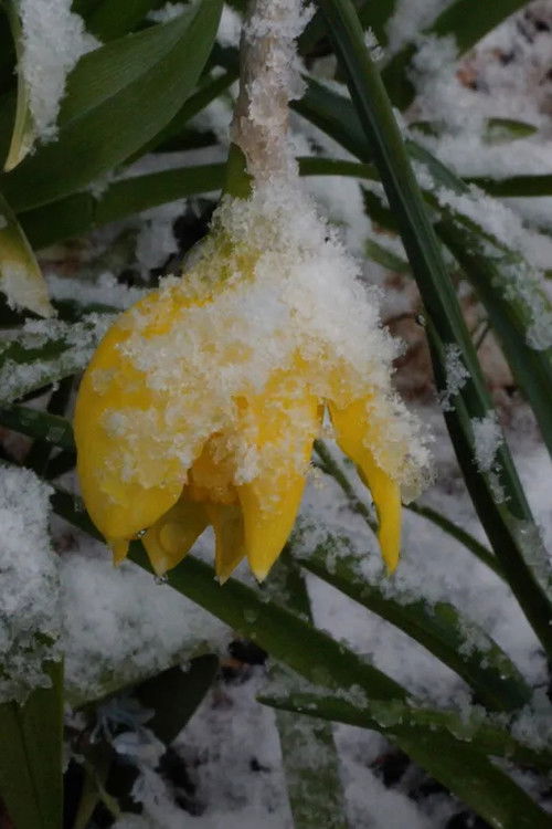 The Grave's Sky (2023) poster