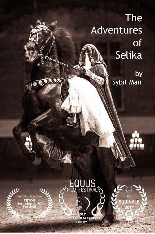 The Adventures of Selika (2017) poster