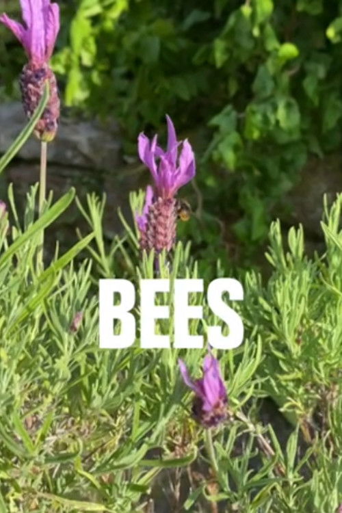Bees (2020) poster