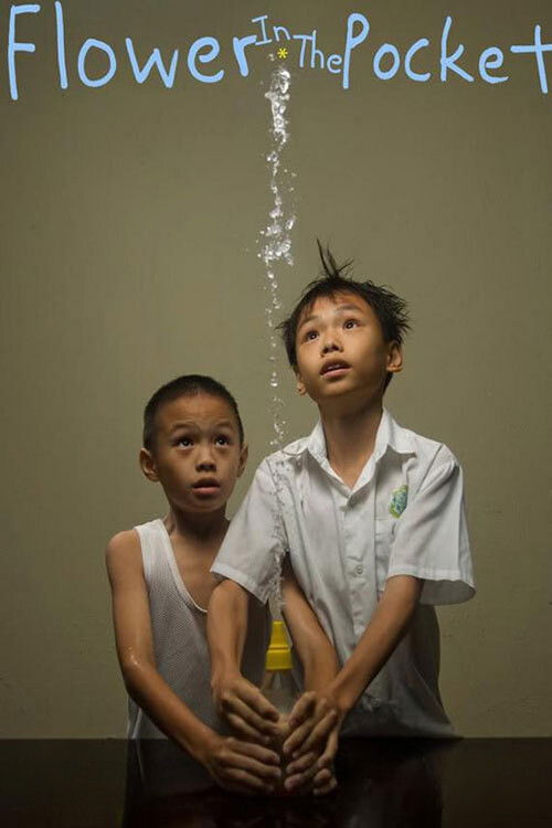 Flower in the Pocket (2007) poster