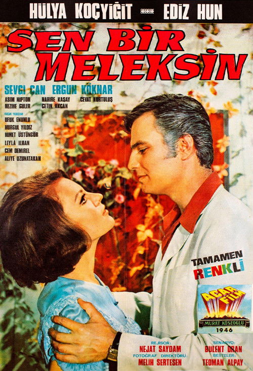 Sen Bir Meleksin (1969) poster