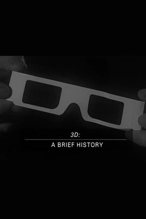 3D: A Brief History (2004) poster