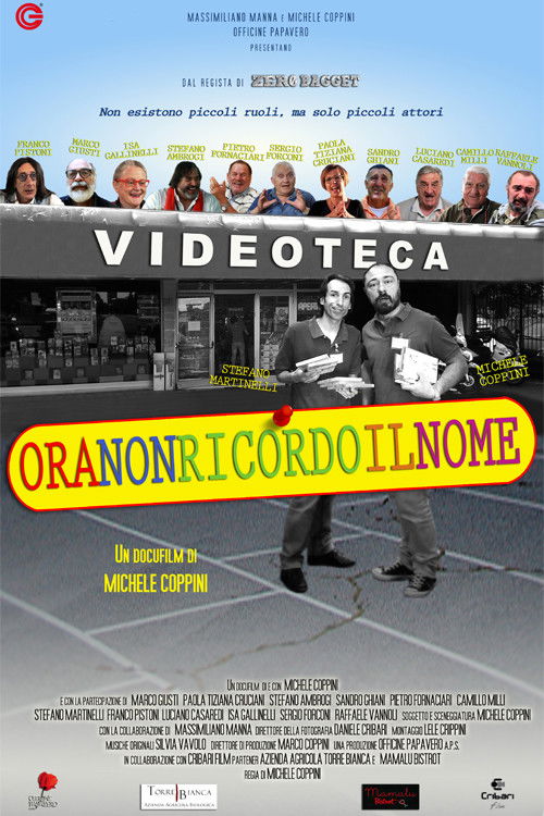 Ora non ricordo il nome (2017) poster