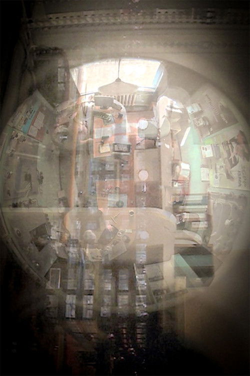 Optical Vacuum (2008) poster