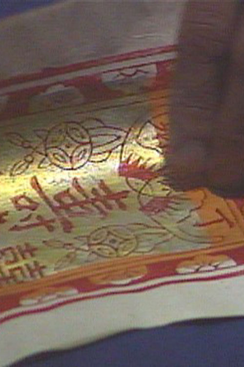 Fighting Chance (1990) poster