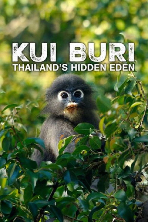 Kui Buri: Thailand's Hidden Eden (2025) poster