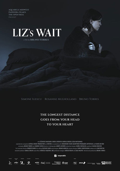 A Espera de Liz (2022) poster