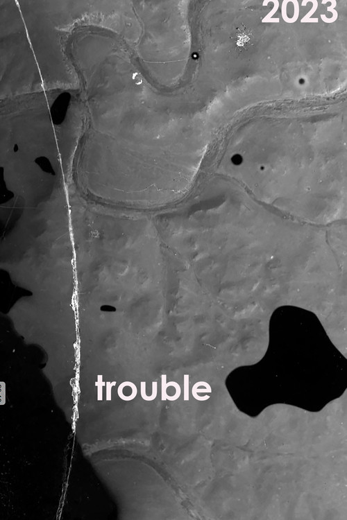 Trouble (2023) poster