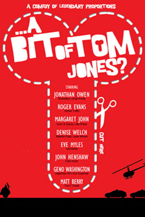 A Bit of Tom Jones? (2009) poster