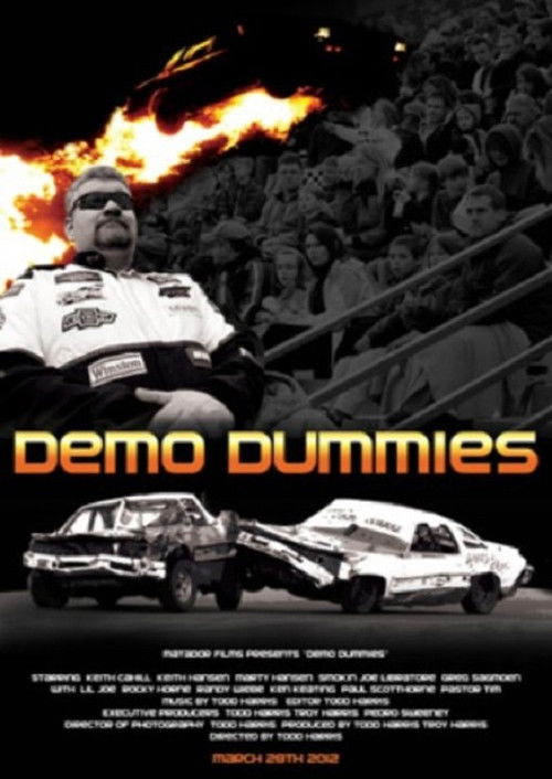 Demo Dummies (2012) poster