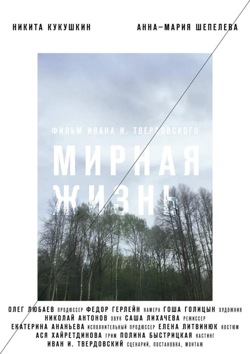 Мирная жизнь (2019) poster