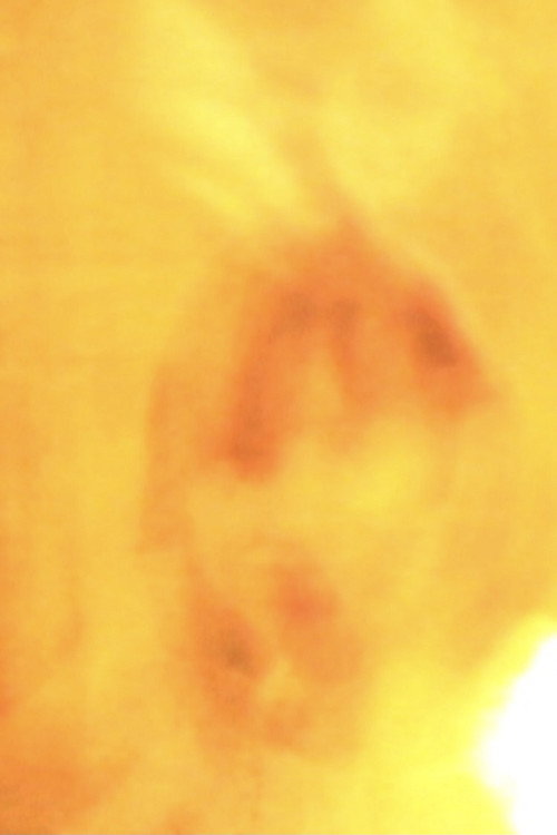 Autumn (2011) poster