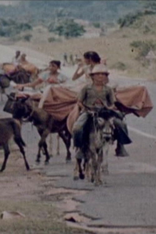 Ciganos do Nordeste (1977) poster