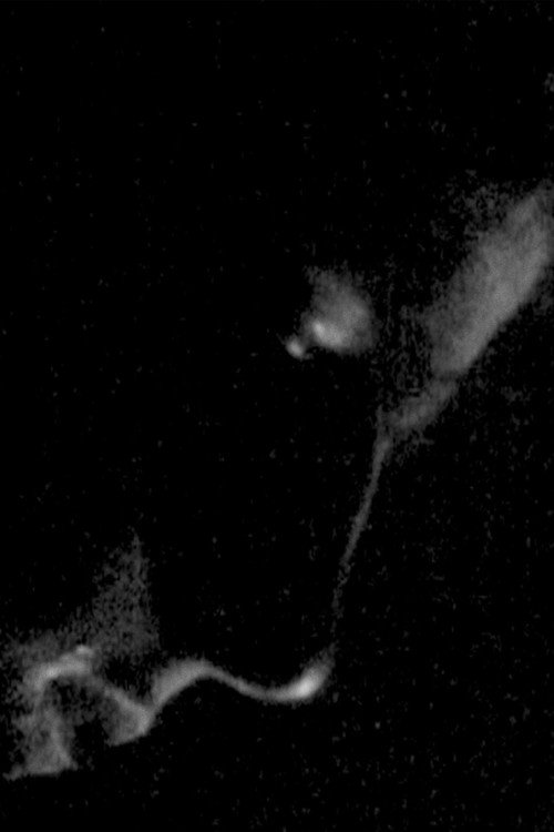 Poor Edward (2009) poster