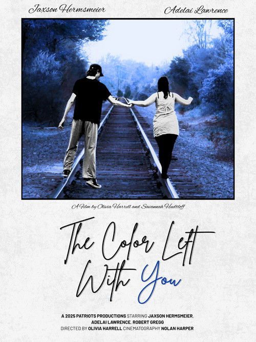 The Color Left With You (2025) poster