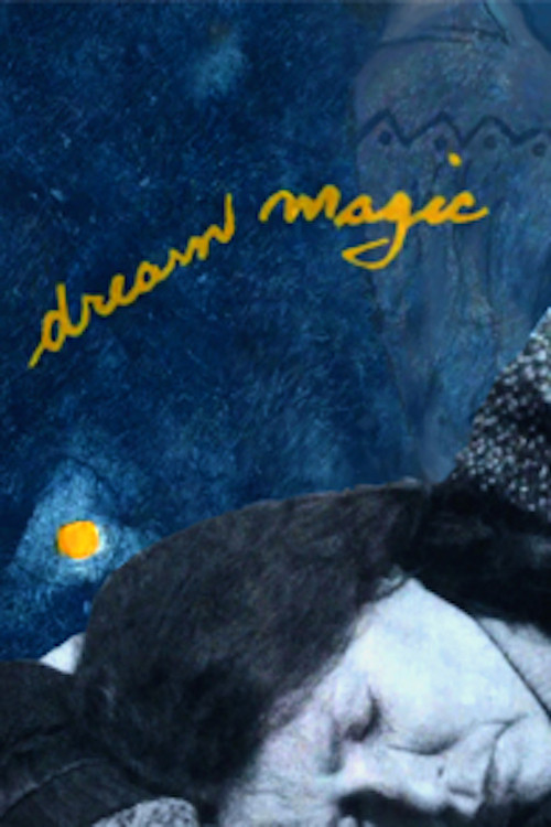 Dream Magic (2008) poster