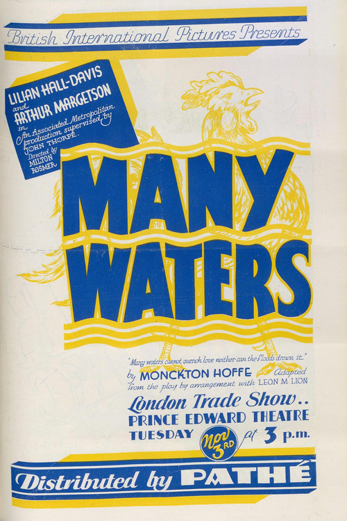 Many Waters (1931) poster