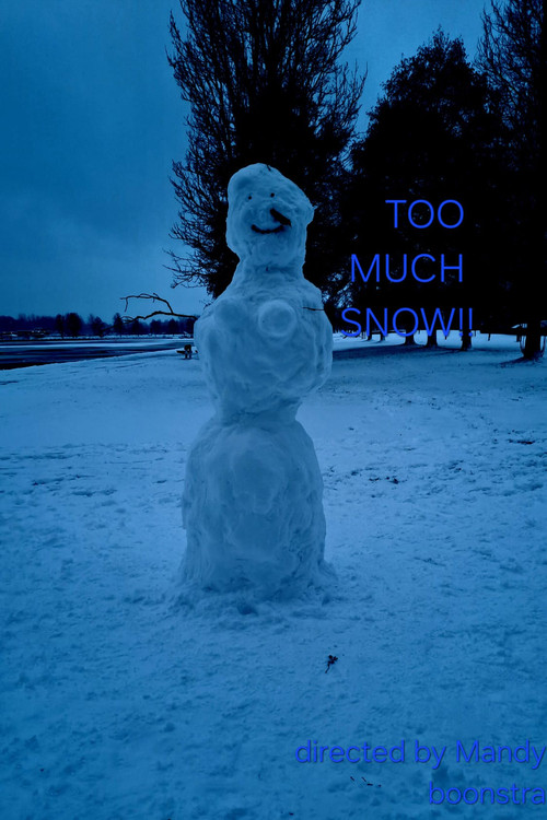 a lot of snow! (2026) poster