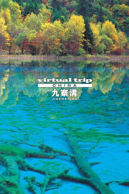 Virtual Trip JiuZhaiGou (2006) poster