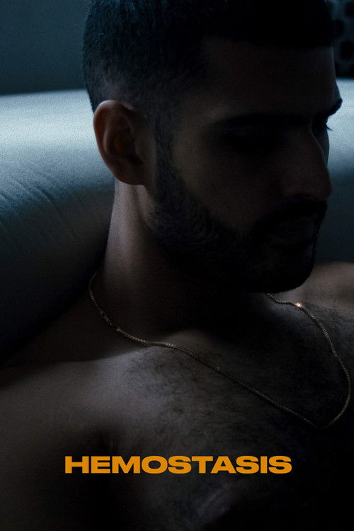 Hemostasis (2024) poster