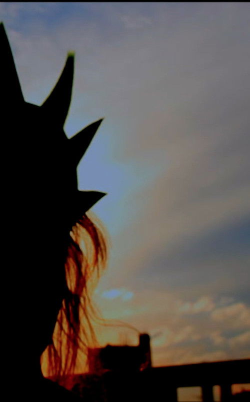 Liberté (2017) poster