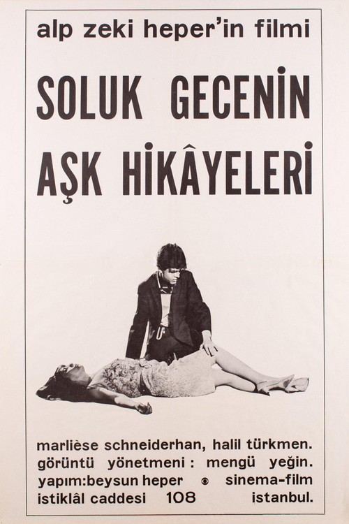 Soluk Gecenin Aşk Hikâyeleri (1966) poster