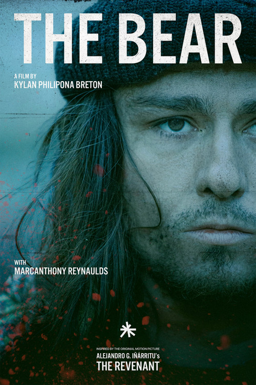 The Bear (2024) poster