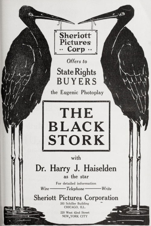 The Black Stork (1917) poster