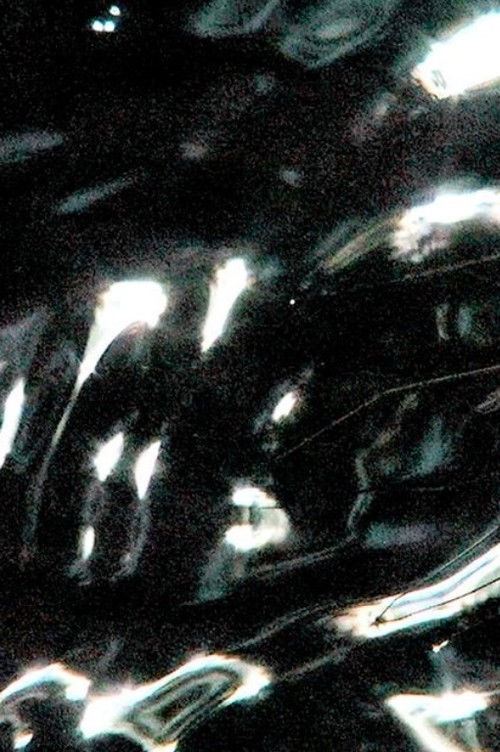 Gerridae (2020) poster