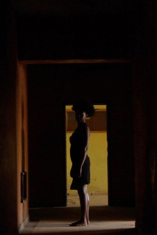 There Is No Light Inside the Mirror (2020) poster