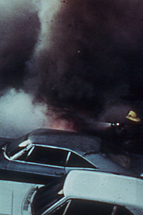 Fur (But Less Fun) (1976) poster