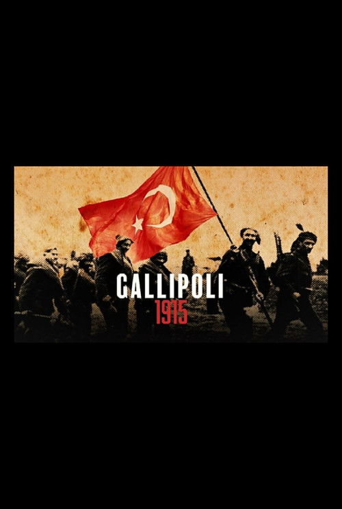 Gallipoli 1915 (2015) poster