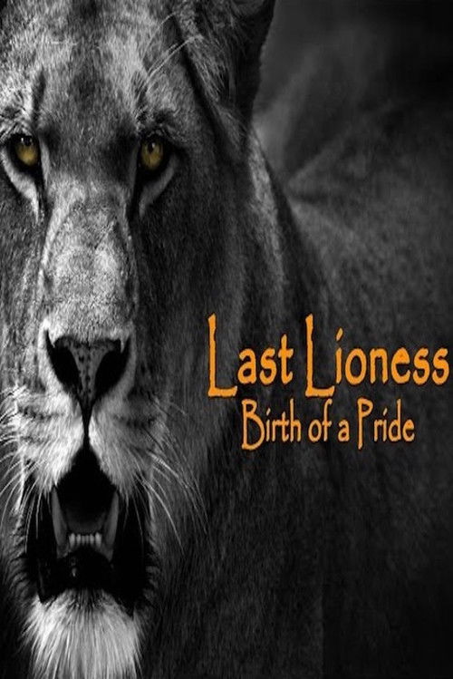 The Last Lioness: Birth of a Pride (2013) poster