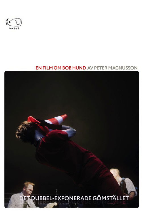 Det Dubbel-exponerade gömstället (2012) poster