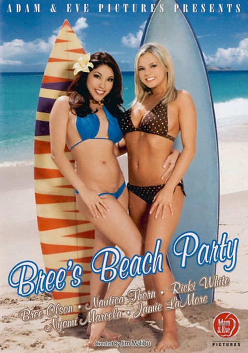 Bree's Beach Party (2008) poster