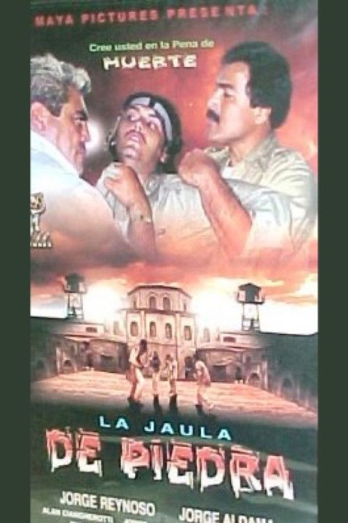 La jaula de piedra (2002) poster