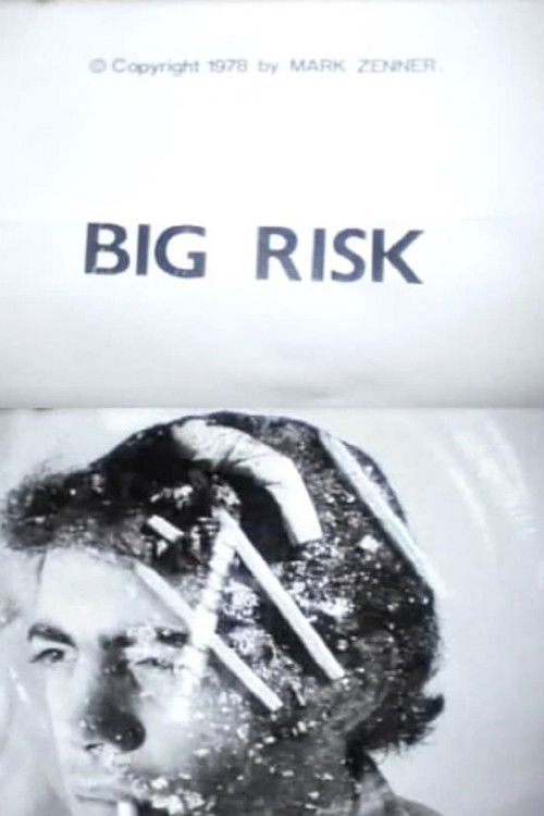Big Risk (1978) poster