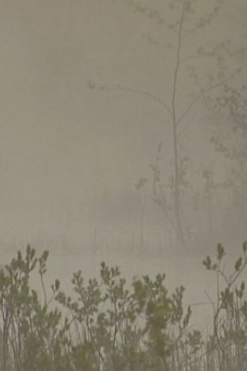 Green Gold (2012) poster