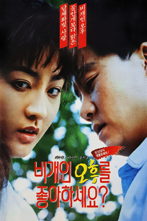 비개인 오후를 좋아하세요 (1991) poster