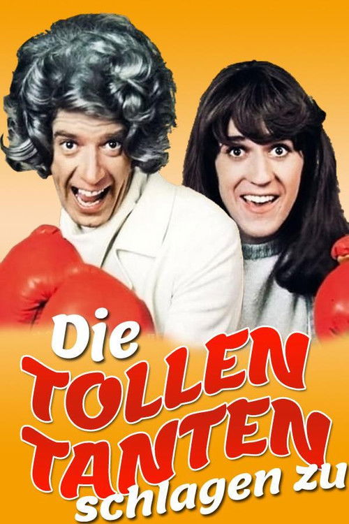 Die tollen Tanten schlagen zu (1971) poster