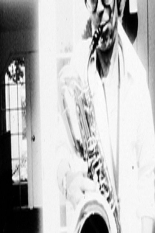 Film Diary #1 (Robert Fulton III) (2024) poster