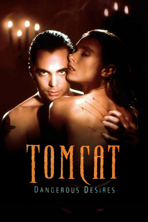 Tomcat: Dangerous Desires (1993) poster
